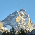 Achillea Alpina Cervinia Vda Vacanze In Vetta Cir 0249