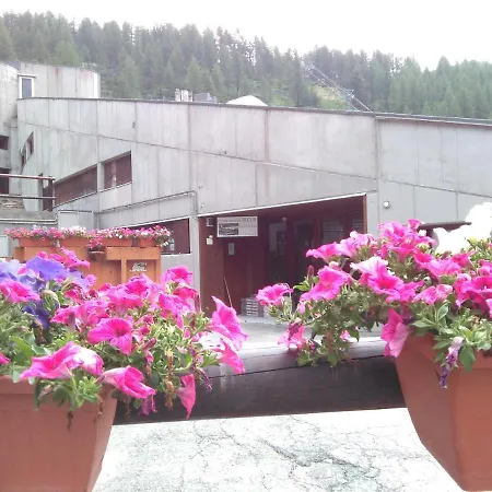 Achillea Alpina Cervinia Vda Vacanze In Vetta Appartamento *