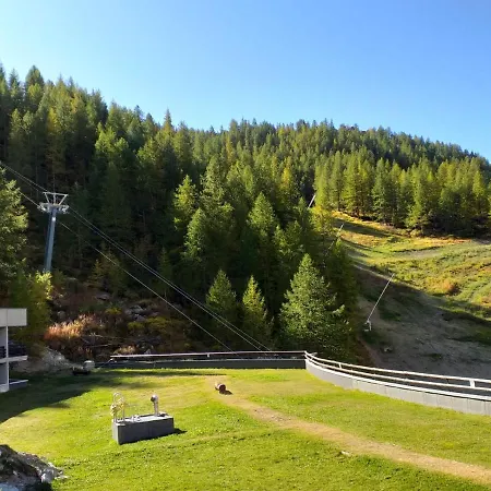 Achillea Alpina Cervinia Vda Vacanze In Vetta Cir 0249 *