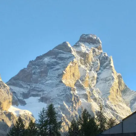 Achillea Alpina Cervinia Vda Vacanze In Vetta Cir 0249