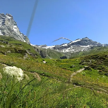 Achillea Alpina Cervinia Vda Vacanze In Vetta Cir 0249 アパート