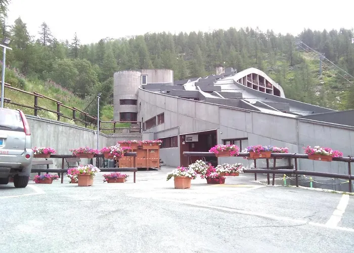 Achillea Alpina Cervinia Vda Vacanze In Vetta Cir 0249 * Breuil-Cervinia