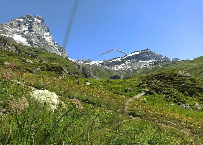 Achillea Alpina Cervinia Vda Vacanze In Vetta Cir 0249 アパート